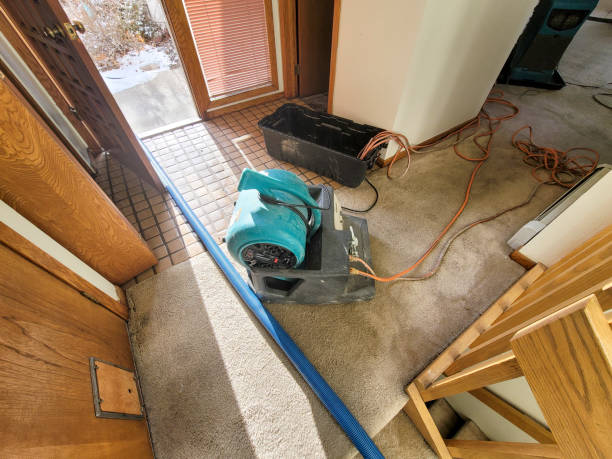 Best Water damage contractors near me  in Kingston, WA