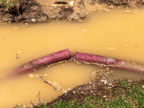 Best 24/7 water damage repair  in Kingston, WA