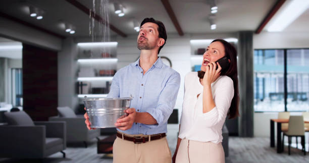 Best Professional water damage repair  in Kingston, WA