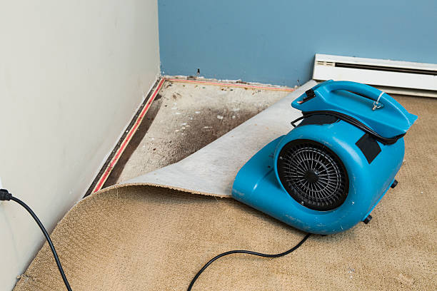 Best Carpet water damage restoration  in Kingston, WA